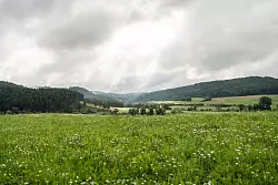 Zur Wochenmitte hat das verregnete Wetter voraussichtlich ein Ende. - &copy; Silas Stein/dpa