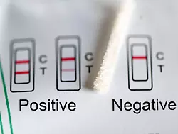 Positiv oder negativ - das zeigt ein Test an. (Symbolbild) - &copy; Jens Kalaene/dpa