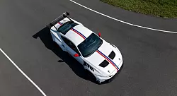 Wild Horses: Davon stellt dieser Mustang wahrlich viele parat - nämlich 828 an der Zahl. - © Ford/dpa-tmn