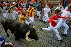 Die schlimmsten Verletzungen gibt es in der Regel durch die spitzen und langen H&ouml;rner der Bullen. Das kommt jedoch eher selten vor. Die meisten L&auml;ufer ziehen sich Prellungen zu, wenn sie bei der wilden Jagd &uuml;bereinander fallen. - &copy; Elsa A Bravo/SOPA Images via ZUMA Press Wire/dpa