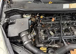 In höchster Not findet die Feuerwehr eine eingeklemmte Katze in einem Auto vor. - © --/Berufsfeuerwehr Augsburg/dpa