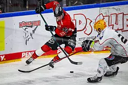 Die Fischtown Pinguins und die K&ouml;lner Haie lieferten sich einen harten Kampf. - &copy; Christoph Reichwein/dpa