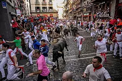 Kampfstiere laufen während des «Sanfermines»-Festes zwischen den Feiernden umher. - © Alvaro Barrientos/AP