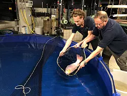 Einige Fische konnten gerettet werden. - &copy; Zoo Berlin/dpa