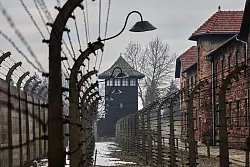 Jedes Jahr gedenkt der Bundestag anl&auml;sslich des Jahrestags der Befreiung des Vernichtungslagers Auschwitz der Opfer des Nationalsozialismus. - &copy; Beata Zawrzel/AP/dpa