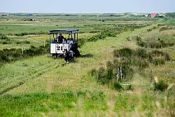 Die Insel Sylt zählt zu den teuersten Regionen Deutschlands. (Archivbild) - © Hauke-Christian Dittrich/dpa