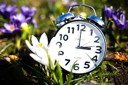 Die Zeitumstellung hat geklappt, nun gilt Sommerzeit. (Symbolbild) - © Sina Schuldt/dpa