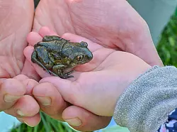 Das Bewusstsein, selbst etwas tun zu k&ouml;nnen. (Symbolbild) - &copy; Patrick Pleul/dpa