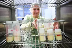 Die gespendete Milch ist tiefgefroren maximal sechs Monate haltbar - © Bernd Thissen/dpa