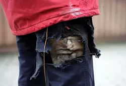 Hohe Verletzungsgefahr, sollten sie z&uuml;nden: B&ouml;ller und Co. geh&ouml;ren nicht in Hosen oder Jackentaschen. - &copy; Daniel Bockwoldt/dpa/dpa-tmn