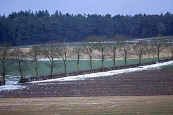 Selbst in der Eifel sind Wiesen nur noch leicht mit Schnee bedeckt. - &copy; Thomas Banneyer/dpa
