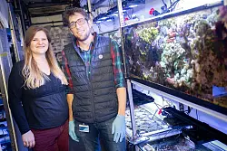 Die Wissenschaftler Mareen M&ouml;ller und Samuel Nietzer wollen Steinkorallen auf nat&uuml;rliche Weise geschlechtlich vermehren und in den Handel bringen. - &copy; Sina Schuldt/dpa