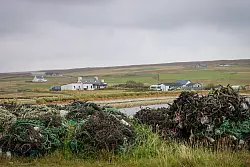 Fischernetze, verstreute Häuschen: Unst ist die nördlichste der größeren Shetlands und wie der Rest des Archipels dünn besiedelt. - © Verena Wolff/dpa-tmn