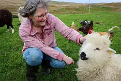 Betreibt eine Farm in Walls: Becky Pritchard, die ihre Wolle selbst färbt und verkauft. - © Verena Wolff/dpa-tmn