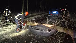 Im Landkreis Emsland fuhr eine Autofahrerin mit ihrem Wagen gegen einen Baum. Sie wurde leicht verletzt. - © -/Nord-West-Media TV/dpa