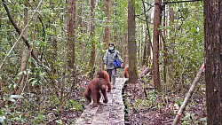 Neugierig erkunden die Waldschüler den Wald im neuen Zentrum. - © -/Bos Foundation/dpa