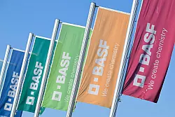 Bunte Flaggen vor einem Betriebsgeb&auml;ude in Ludwigshafen. (Archivbild) - &copy; Uwe Anspach/dpa