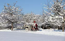 Sonderlich häufig waren weiße Weihnachten auch vor dem Klimawandel nicht. (Archivbild) - © Thomas Warnack/dpa