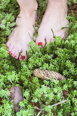 Leicht und geerdet zugleich: Wenn sich die Zehen beim Waldbaden tief in das weiche, k&uuml;hle Moos graben. - &copy; Simone A. Mayer/dpa-tmn