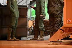 Zuletzt wurde ein großer Ausbruch der Krankheit im Südwesten bekannt. - © -/onw-images/dpa