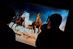 Ausgezeichneter Kontrast und satte Schwarztöne: OLED verspricht die beste Bildqualität. Solche Geräte sind aber teurer als einfache LCD-Fernseher. - © Franziska Gabbert/dpa-tmn