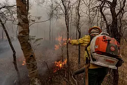 Flammen fressen sich durch die trockene Landschaft. - &copy; Diego Cardoso/dpa