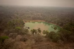 Tiere des Feuchtgebiets sind vom Rauch stark betroffen. - &copy; Diego Cardoso/dpa