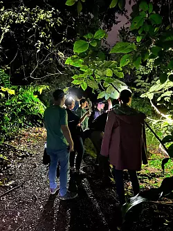 Nachts im Tortuguero-Nationalpark: In der Dunkelheit erwacht der Dschungel zum Leben - die meisten Tiere hier sind nachtaktiv. - &copy; Costa Rica Tourism Board/dpa-tmn