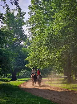 Morgens gibt es im Hyde Park fast eine kleine Rush Hour zu Pferde. - © Dörte Nohrden/dpa-tmn