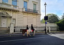 Kein ungewöhnliches Bild in London: Reiterinnen auf dem Fahrradweg. - © Dörte Nohrden/dpa-tmn