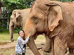 Schon mit 17 entschied Lek, ihr Leben den Elefanten zu widmen. - &copy; Carola Frentzen/dpa