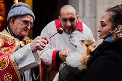 Vor allem Hunde und Katzen werden von ihren Haltern zur Segnung vor der Kirche San Ant&oacute;n in Madrid gebracht. - &copy; Manu Fernandez/AP/dpa