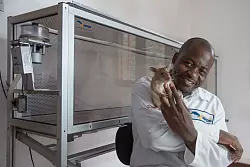 Trainiert wurden die Nagetiere im ostafrikanischen Tansania. - &copy; Apopo/dpa