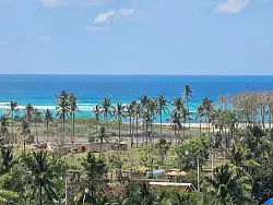 Noch s&auml;umen Kokospalmen die herrliche K&uuml;ste - bald soll hier eine Smart City stehen. - &copy; Ahmad Pathoni/dpa