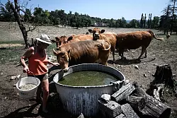 Die große Trockenheit macht in Frankreich insbesondere den Landwirten zu schaffen. - © Jean-Philippe Ksiazek/AFP/dpa