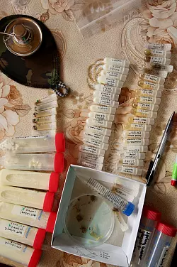 Die traditionelle Methode stammt aus der T&uuml;rkei und dem Balkan. - &copy; David Zilber/dpa