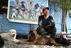 Huzi hatte zehn Jahre in Peking gearbeitet, bevor er entschied, sich nur noch um Hunde zu kümmern. - © Johannes Neudecker/dpa