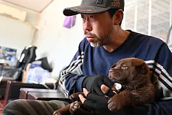 Hunderetter Huzi verarztet einen Welpen, der sich beim Spielen verletzt hat. - © Johannes Neudecker/dpa