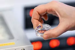 Befruchtete Eizellen liegen in einer Petrischale. Oft sind viele Versuche n&ouml;tig, bis eine Frau schwanger wird. - &copy; Jens Kalaene/dpa