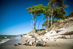 Traumküste im Nationalpark Vorpommersche Boddenlandschaft: der Weststrand in der Nähe von Prerow. - © Jens Büttner/dpa/dpa-tmn