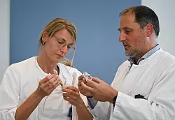 Prof. Rieger und Dr. Morgenstern im Gespräch. - © Arne Dedert/dpa