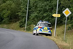 Im S&uuml;den von Berlin wurde ein Raubtier gesichtet - h&ouml;chstwahrscheinlich eine L&ouml;win. Die Polizei sucht. - &copy; Fabian Sommer/dpa