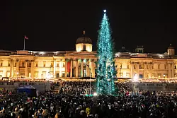 Der traditionell von Norwegen geschenkte Baum 2019 auf dem Trafalgar Square: Über 20 Meter hoch, schlicht dekoriert und ein Symbol der britisch-norwegischen Freundschaft seit 1947. (Archivbild) - © Dominic Lipinski/PA Wire/dpa