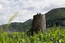 Das Werk des US-Künstlers Brad Downey und seines slowenischen Kollegen Rok Pahor ist von Unbekannten abgesägt und gestohlen worden. - © Relja Dusek/AP/dpa