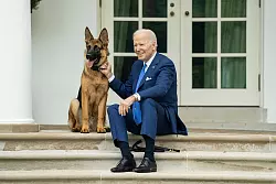 US-Pr&auml;sident Joe Biden mit seinem Hund auf den Stufen vor dem Wei&szlig;en Haus. - &copy; President Joe Biden/Zuma Press/dpa