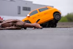 Das Reh, in diesem Fall ein Nachbau, hätte den Aufprall wahrscheinlich nicht überlebt. Der Autofahrer würde wohl schwer verletzt überleben. - © Guido Kirchner/dpa