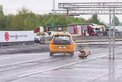 Dieser Crashtest zeigt was passiert, wenn das Fahrzeug auf ein Reh trifft und der Fahrer nach links ausweicht. - © Guido Kirchner/dpa