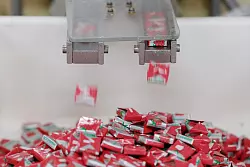 1.000 Tonnen Frukas werden im Jahr produziert. - &copy; Sebastian Willnow/dpa