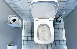Während in Deutschland die Nutzung von Klopapier die Norm ist, wird in vielen anderen Ländern auf Dusch-WCs, Bidethandbrausen oder ein zusätzliches Bidet neben dem Klo gesetzt. (Archivbild) - © Ralf Hirschberger/dpa-Zentralbild/dpa