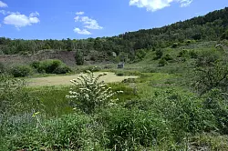 Die Pflanzen der Grube Messel bei Darmstadt strahlen in einem satten Gr&uuml;n. Das Areal wurde 1995 erstes Weltnaturerbe in Deutschland auf der Liste der Weltkulturorganisation Unesco. - &copy; Arne Dedert/dpa
